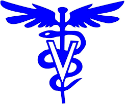 Veterinary Doctor Home Visit Hyderabad